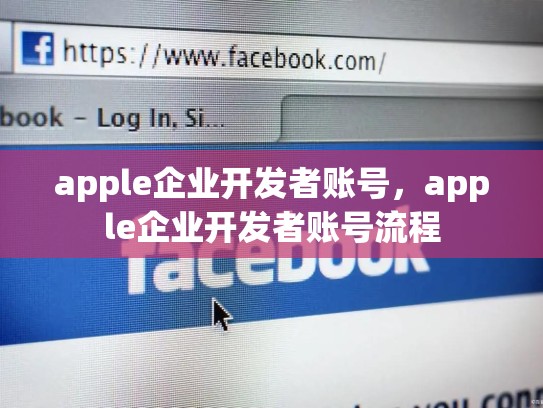 apple企业开发者账号，apple企业开发者账号流程
