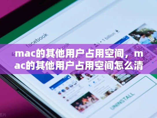 mac的其他用户占用空间，mac的其他用户占用空间怎么清理