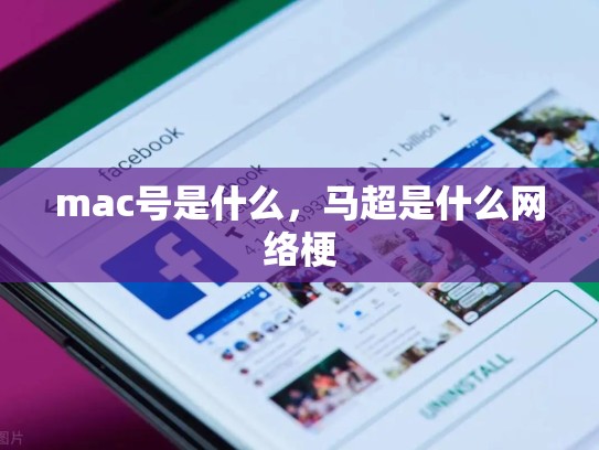 mac号是什么，马超是什么网络梗