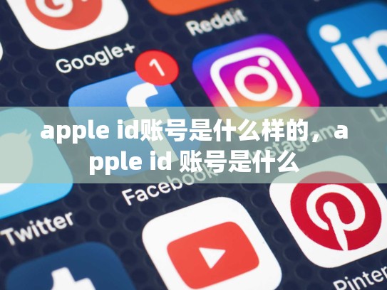 apple id账号是什么样的，apple id 账号是什么
