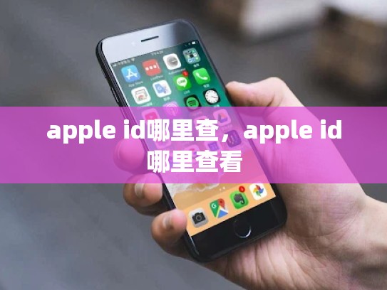 apple id哪里查，apple id哪里查看