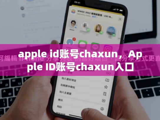 apple id账号chaxun，Apple ID账号chaxun入口