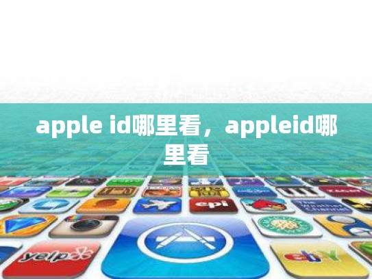 apple id哪里看，appleid哪里看