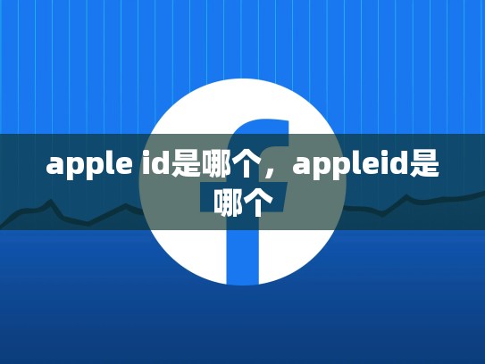 apple id是哪个,appleid是哪个