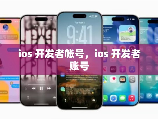 ios 开发者帐号，ios 开发者账号