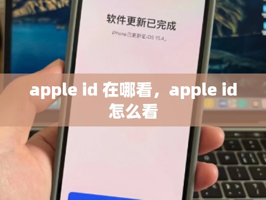 apple id 在哪看，apple id怎么看