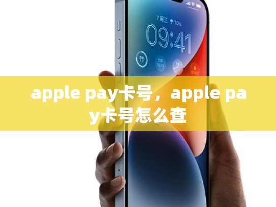 apple pay卡号，apple pay卡号怎么查