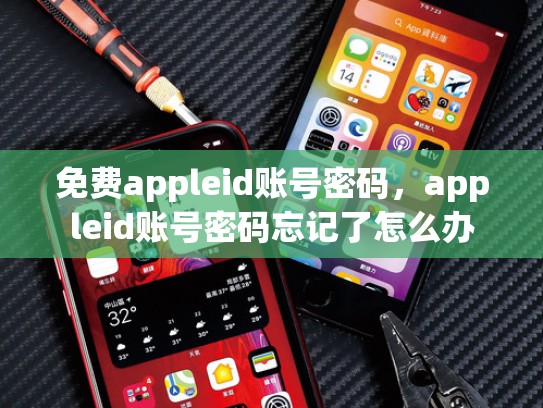免费appleid账号密码，appleid账号密码忘记了怎么办