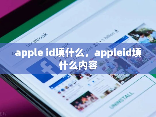 apple id填什么，appleid填什么内容