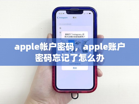 apple帐户密码，apple账户密码忘记了怎么办