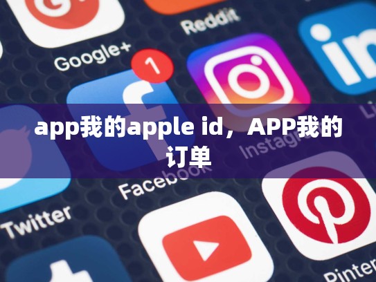 app我的apple id，APP我的订单