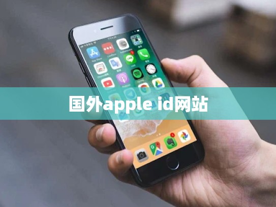 国外apple id网站