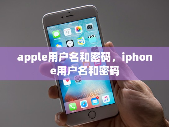 apple用户名和密码，iphone用户名和密码