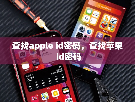 查找apple id密码,查找苹果 id密码