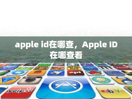 apple id在哪查，Apple ID在哪查看