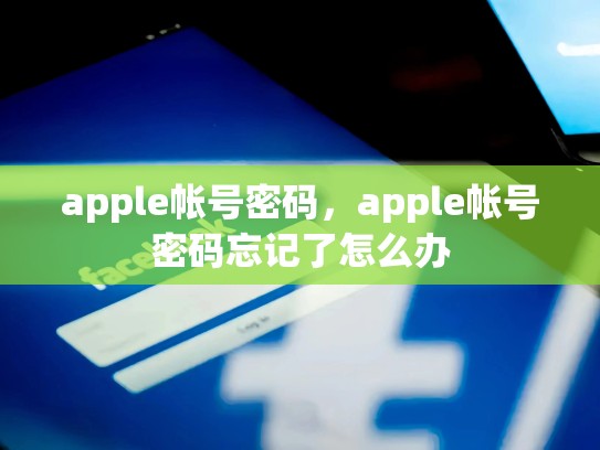 apple帐号密码，apple帐号密码忘记了怎么办