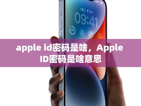 apple id密码是啥，Apple ID密码是啥意思