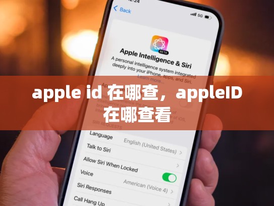 apple id 在哪查，appleID在哪查看
