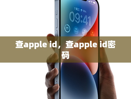查apple id，查apple id密码