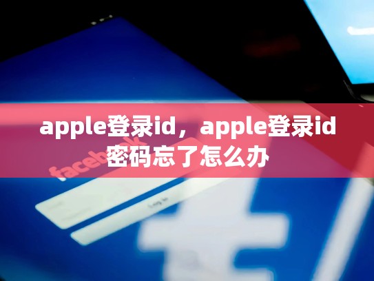 apple登录id，apple登录id密码忘了怎么办