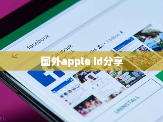 国外apple id分享