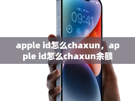 apple id怎么chaxun，apple id怎么chaxun余额