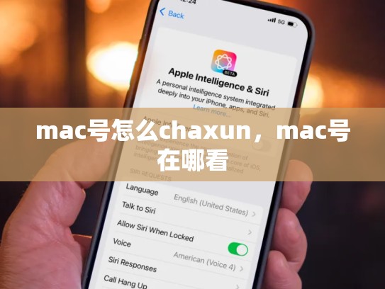 mac号怎么chaxun，mac号在哪看