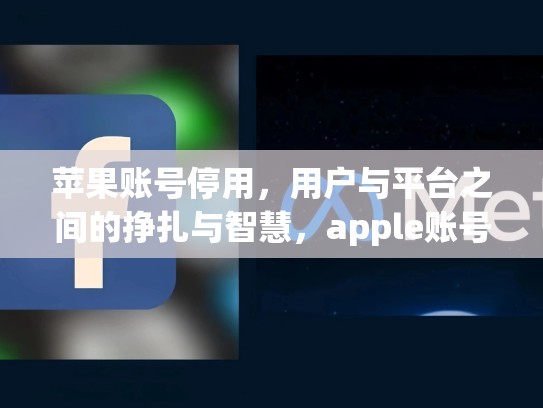 苹果账号停用，用户与平台之间的挣扎与智慧，apple账号停用怎么退出登录