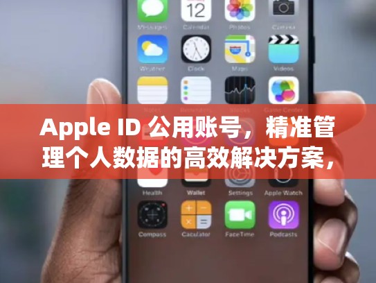 Apple ID 公用账号，精准管理个人数据的高效解决方案，appleid公用账号