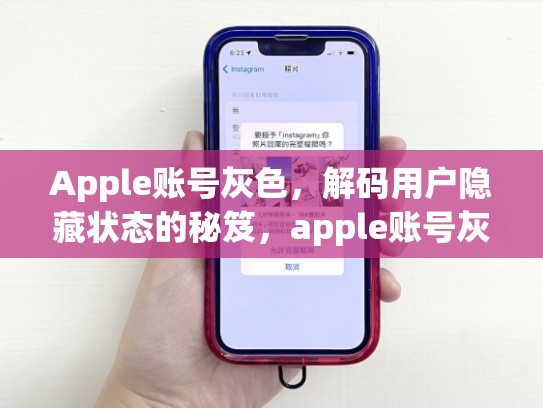 Apple账号灰色，解码用户隐藏状态的秘笈，apple账号灰色点不进去