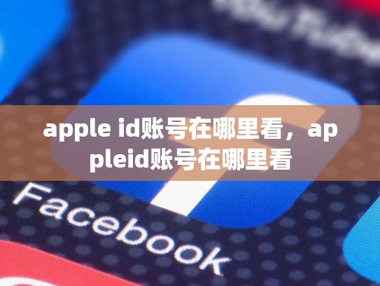 apple id账号在哪里看，appleid账号在哪里看