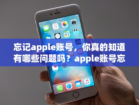 忘记apple账号，你真的知道有哪些问题吗？apple账号忘记了怎么办