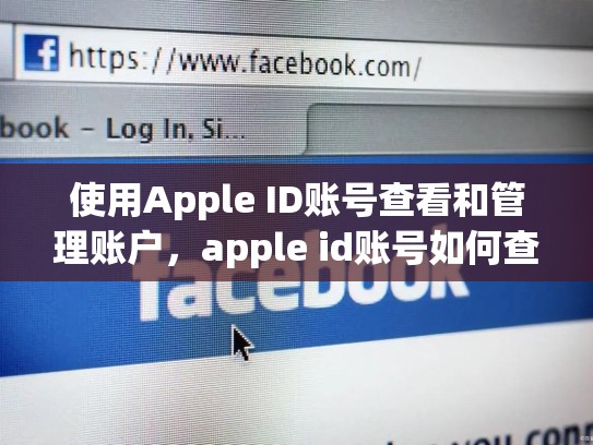 使用Apple ID账号查看和管理账户，apple id账号如何查看