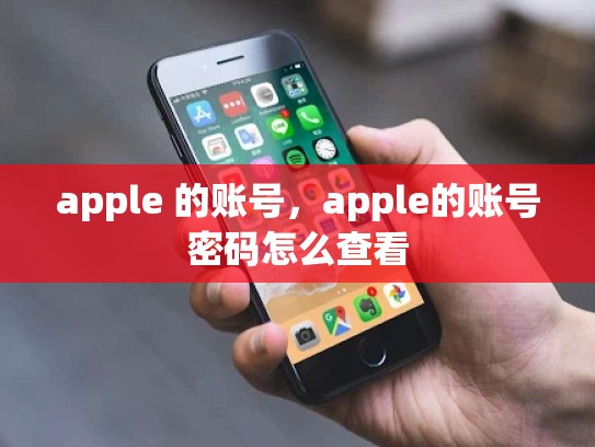 apple 的账号,apple的账号密码怎么查看