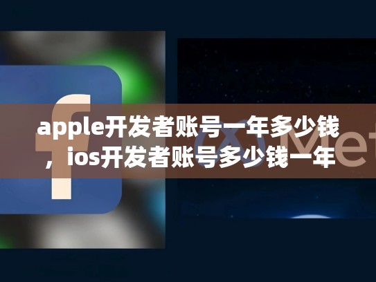 apple开发者账号一年多少钱，ios开发者账号多少钱一年