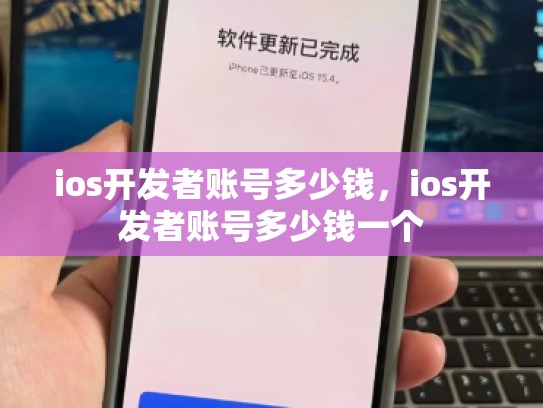 ios开发者账号多少钱，ios开发者账号多少钱一个