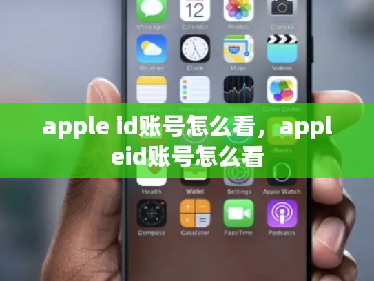 apple id账号怎么看，appleid账号怎么看