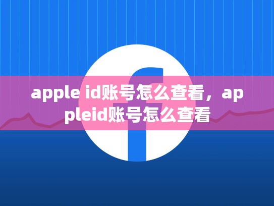 apple id账号怎么查看，appleid账号怎么查看
