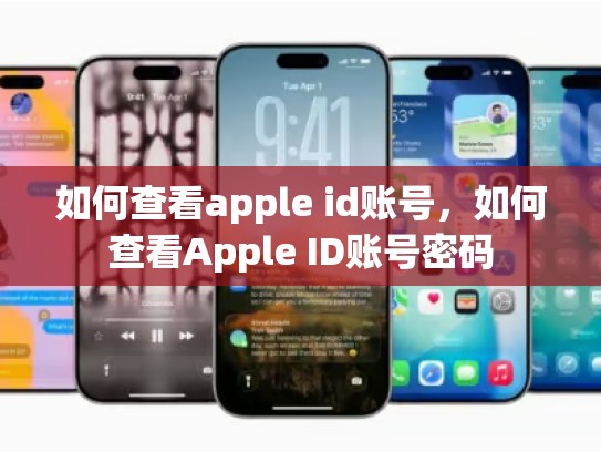 如何查看apple id账号，如何查看Apple ID账号密码