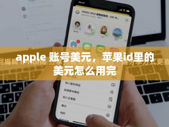 apple 账号美元，苹果id里的美元怎么用完