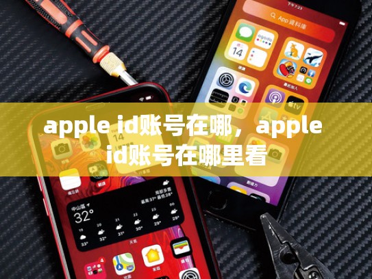 apple id账号在哪，apple id账号在哪里看