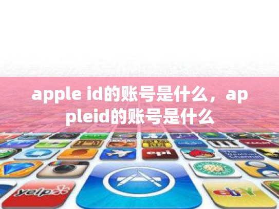 apple id的账号是什么，appleid的账号是什么