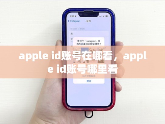 apple id账号在哪看，apple id账号哪里看