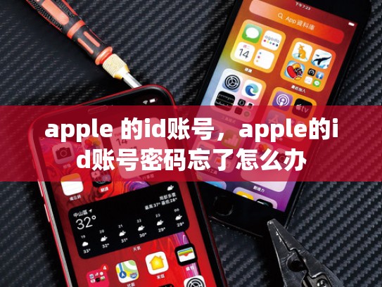 apple 的id账号，apple的id账号密码忘了怎么办