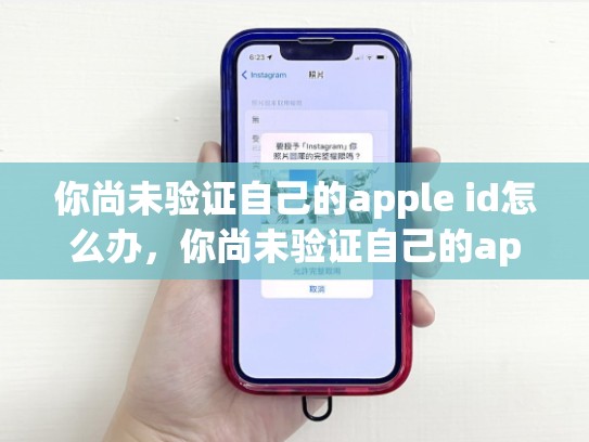 你尚未验证自己的apple id怎么办，你尚未验证自己的apple id啥意思