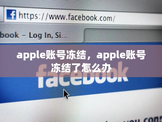 apple账号冻结，apple账号冻结了怎么办