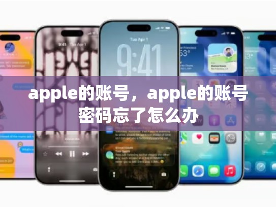 apple的账号，apple的账号密码忘了怎么办