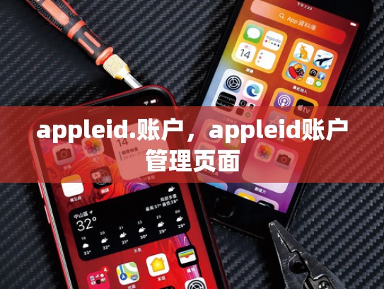 appleid.账户,appleid账户管理页面