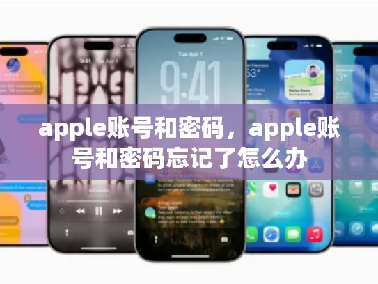 apple账号和密码，apple账号和密码忘记了怎么办