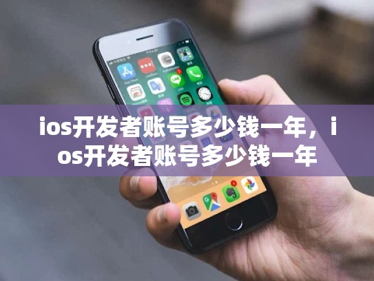 ios开发者账号多少钱一年，ios开发者账号多少钱一年